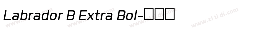 Labrador B Extra Bol字体转换